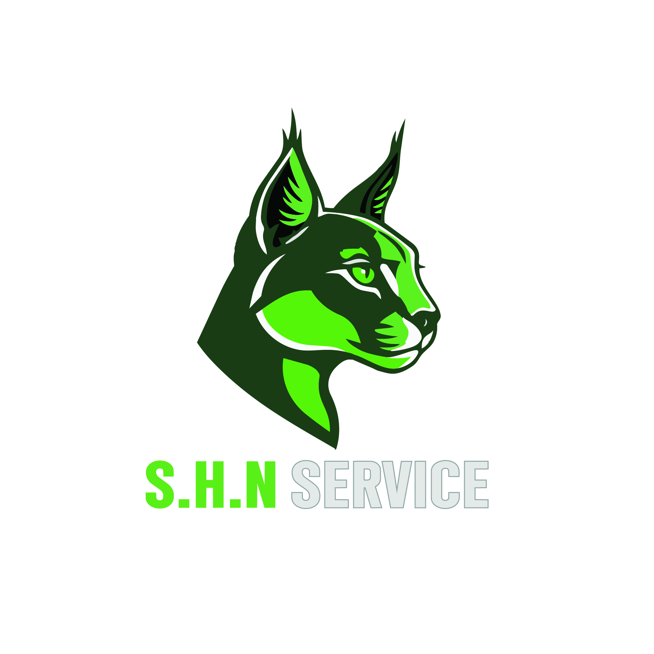S.H.N SERVICE